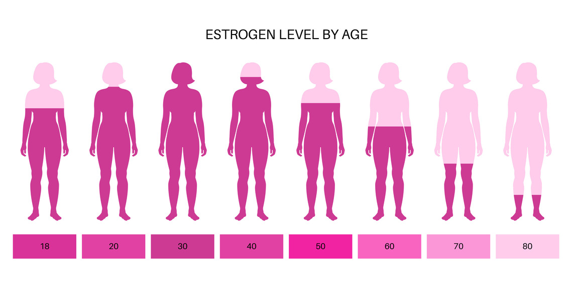 női hormonális egyensúlyt ábrázoló grafikon