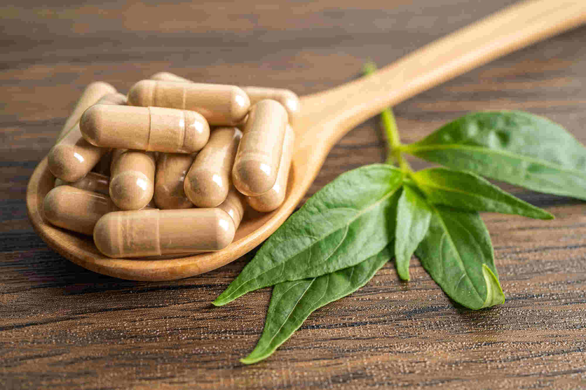 napi ajánlott ashwagandha adag kapszula formában