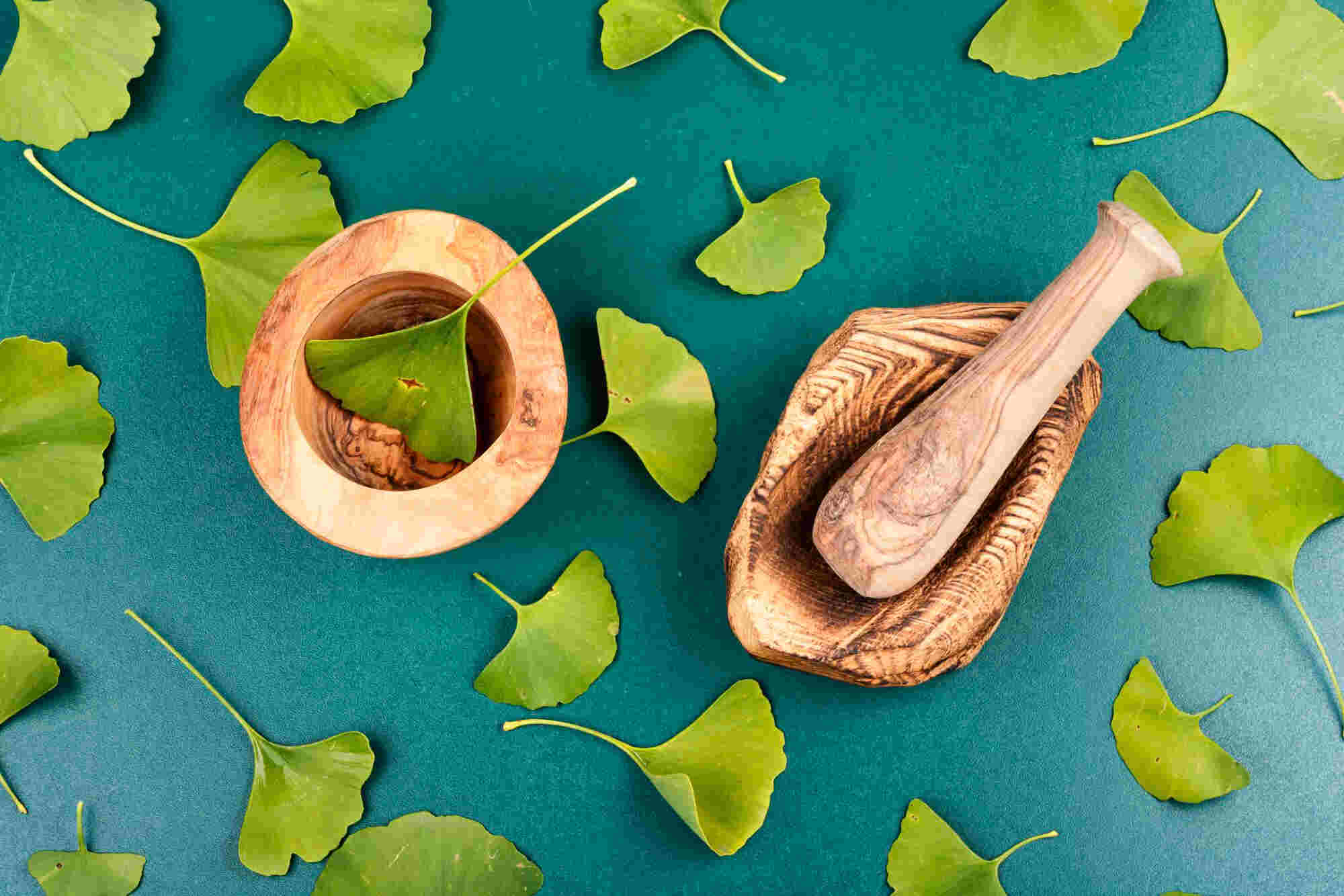 ginkgo biloba jótékony hatásai a szervezetre