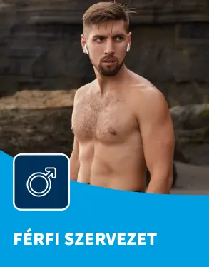Férfi egészség