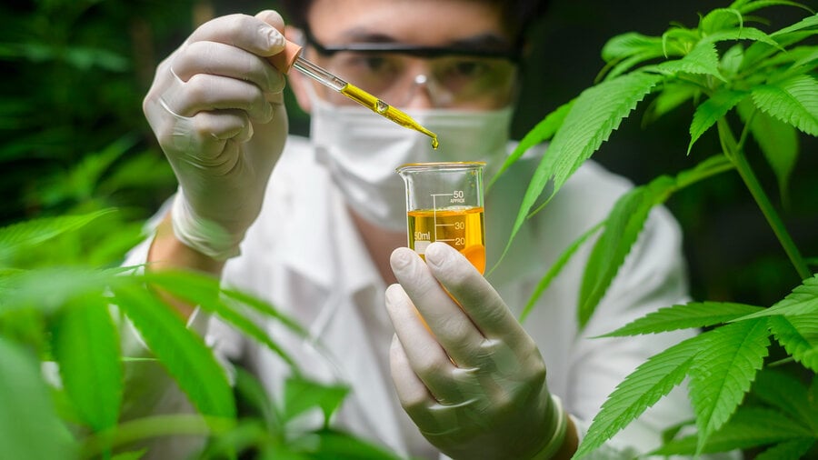 Az USA medical termékekhez használt oregoni CBD alapanyag laboratóriumi vizsgálata