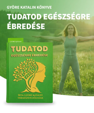 Györe Katalin - Tudatod egészségre ébredése - Könyv