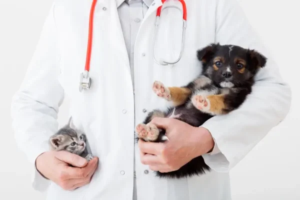 dr-juhasz-tamas-rolunk