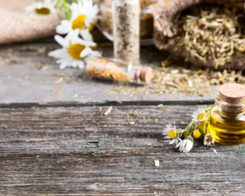 gyore-katalin-rolunk